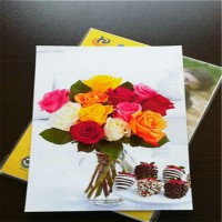 Factory Hot sale 180gsm in A3, A4 sheets Inkjet Printing Photo Paper Matte Coated Matte Paper